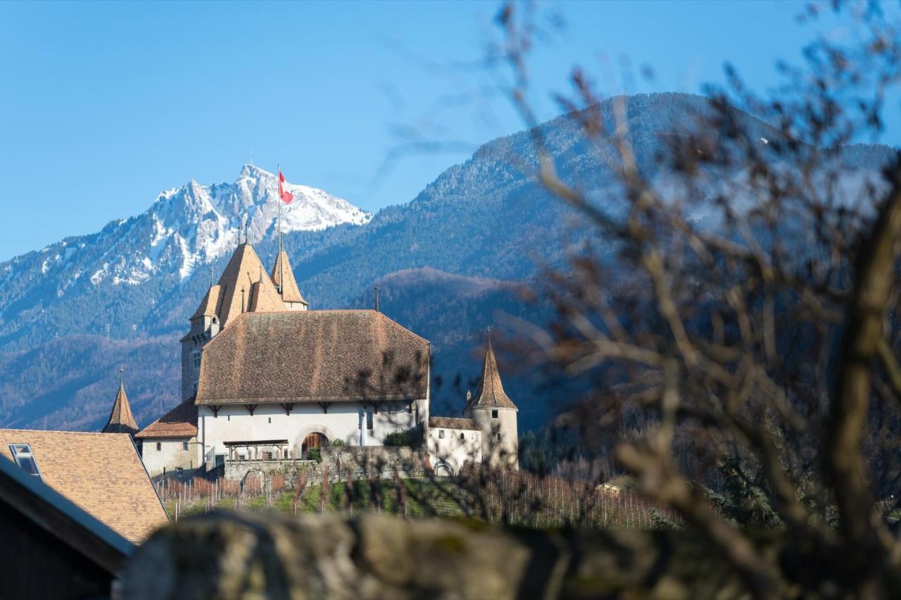 Nonanteneuf Appart Hotel Aigle - Contactless Check-In Exteriör bild